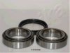 ASHIKA 44-15005 Wheel Bearing Kit